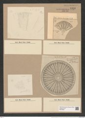 Arachnodiscus ehrenbergii Bail. et Ehr. (de-Toni-Nr.: Genus 204, Species 5210) Zeichnungen Sammlung Grunow Nr. 8996 (NHMW-BOT-W0378697)
